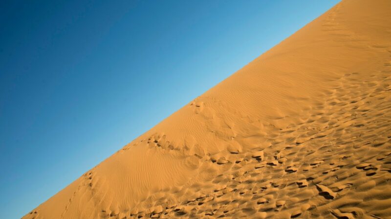 Woman Sinks Into Real-Life Quicksand on Maine Beach