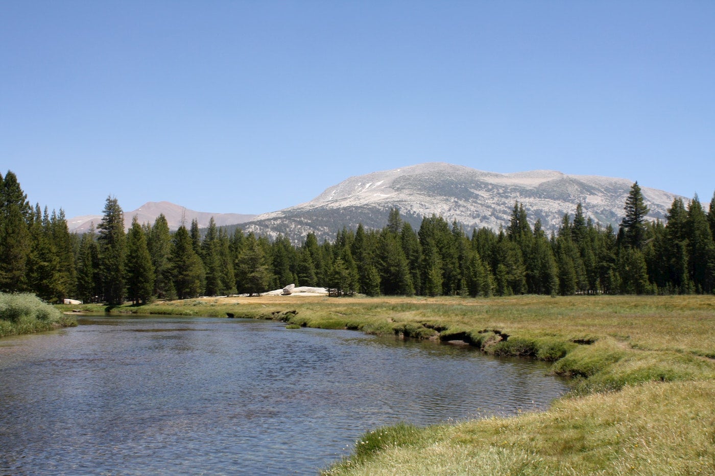 the Tuolumne River in yosemite national park running through the meadow below mountains.