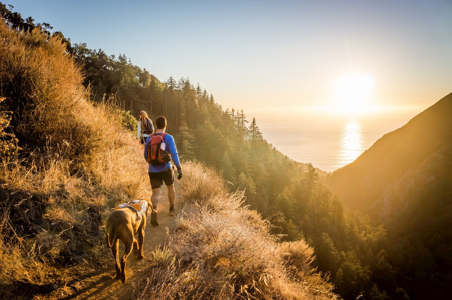 man woman and dog hiking at Big Sur