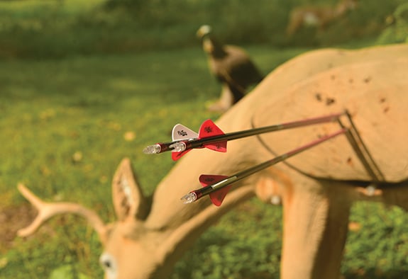 3D versus Bull’s-eyes: Target choice matters leading up to hunting season – Outdoor News