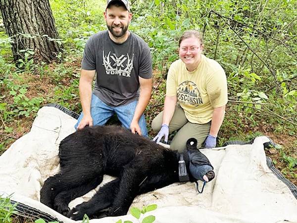 Bear population, diet are focus of Michigan study – Outdoor News