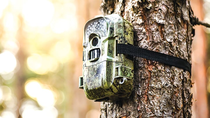 Ben Moyer: Pennsylvania lags behind in debate over use of trail cameras – Outdoor News