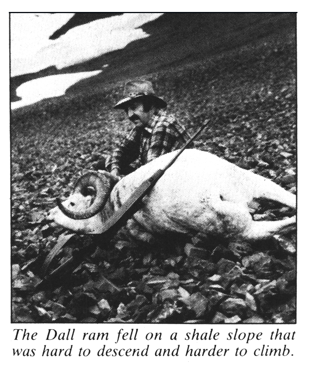 Jim Carmichel with a Dall ram in Alaska.