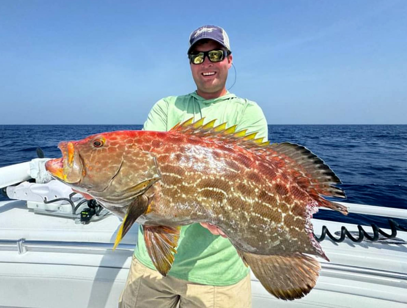 A grouper bitten by a shark.