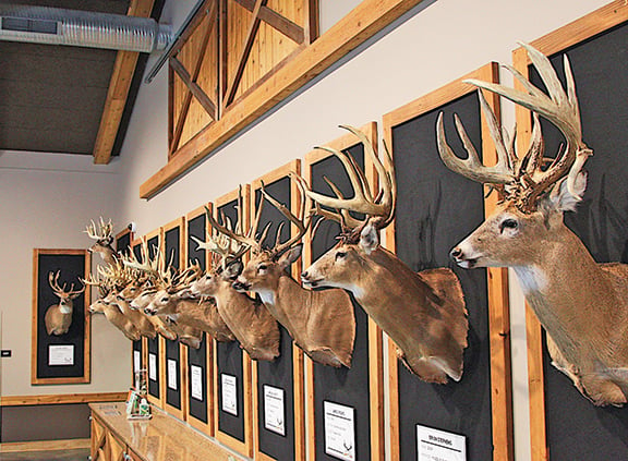 Deerassic Park, and it’s impressive whitetail Hall of Fame, great place to visit for deer junkies – Outdoor News