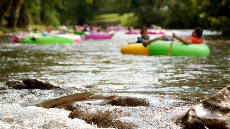 Everything You Need to Know to go San Marcos River Tubing