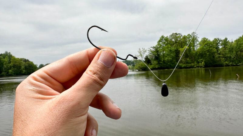 How to Fish a Free Rig: Here’s What You Need to Know About This Underrated Bass Technique