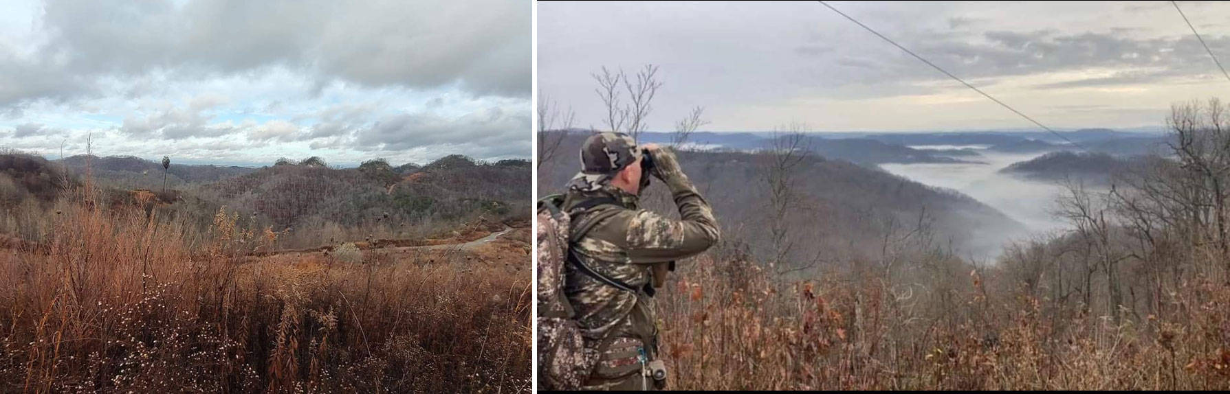 kentucky elk hunting