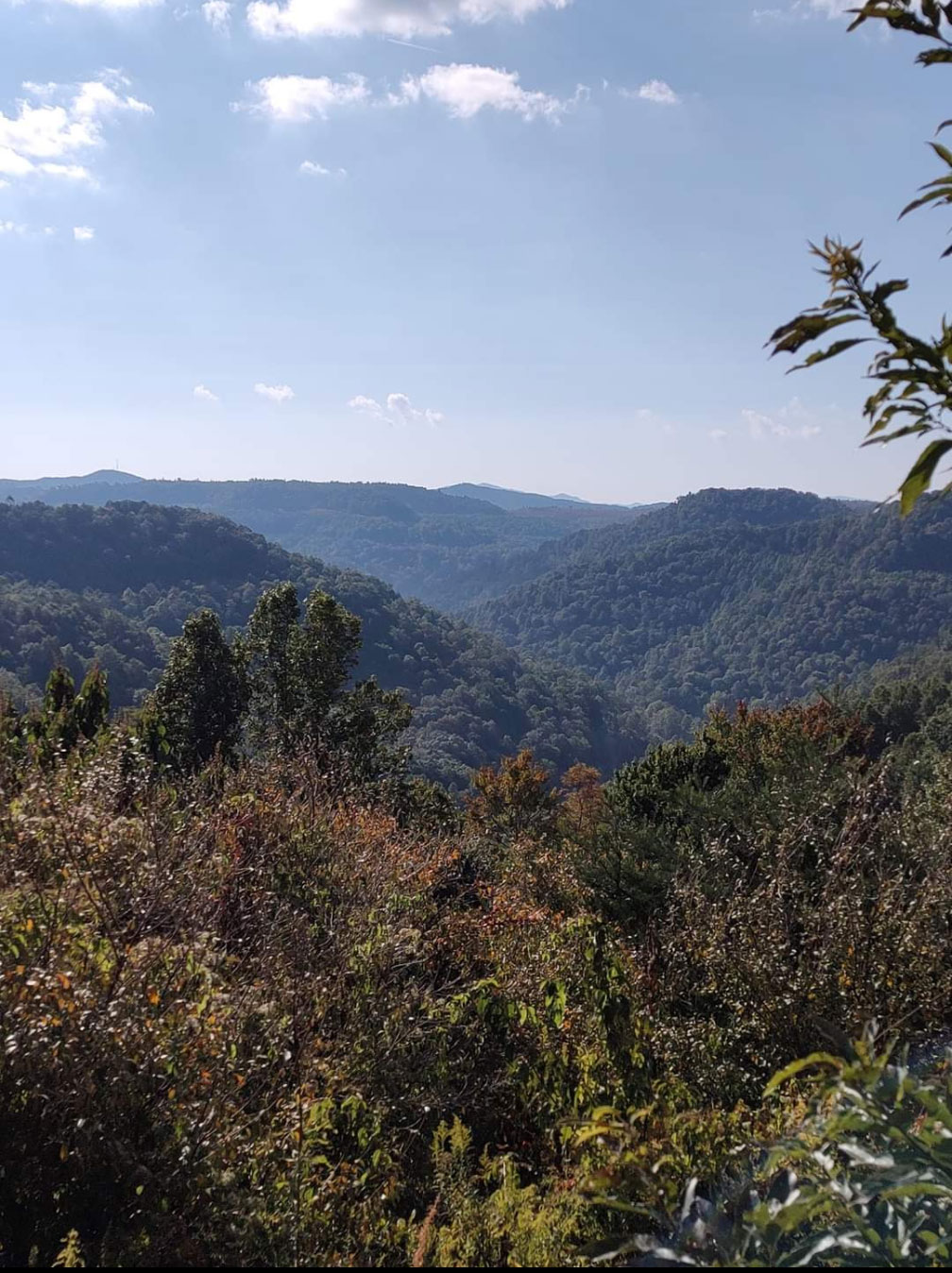 elk hunting kentucky