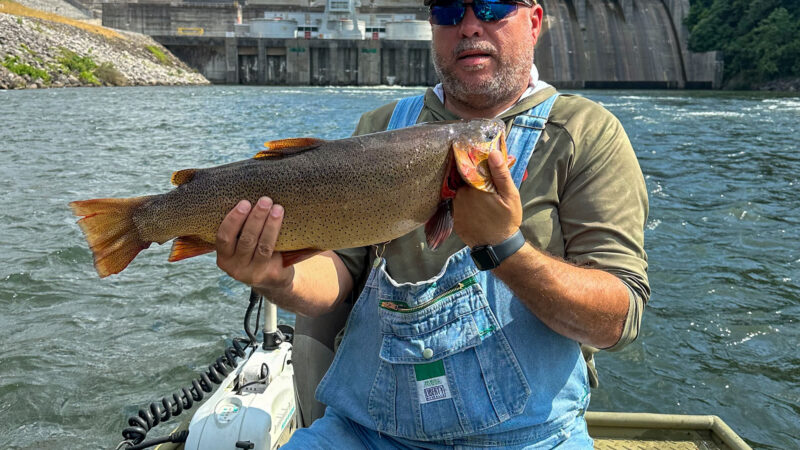 ‘It’s What I Live For.’ Angler Breaks Tennessee Cutthroat Record on a Fishing Trip with His Buddies