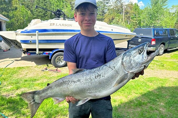 Lake Superior’s cisco boom is creating big fish – Outdoor News