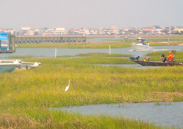 Mike Raykovicz: A week on the salt marsh provides a new appreciation – Outdoor News