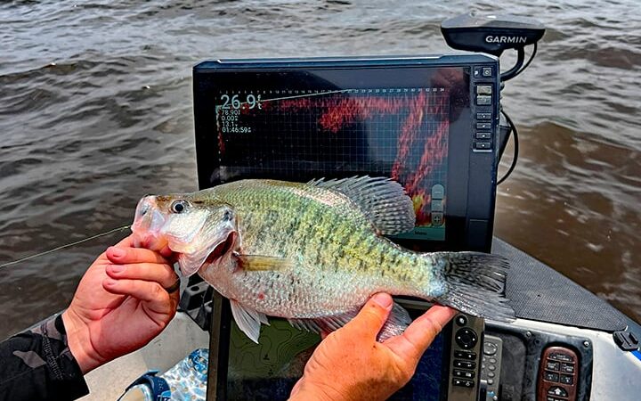 Mississippi reduces crappie limits, becoming first state to reduce limits in response to live sonar – Outdoor News