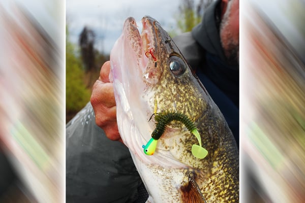 MN Daily Update: Modify your approach when fishing for weed walleyes – Outdoor News