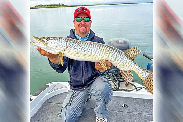 Muskie stocking adding more trophy opportunities in North Dakota, and pheasant spring crowing counts are up statewide – Outdoor News