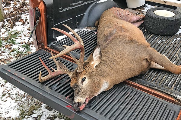 Norther Wisconsin’s deer herd: Forest and Florence counties share disparate habitats, hunter success – Outdoor News