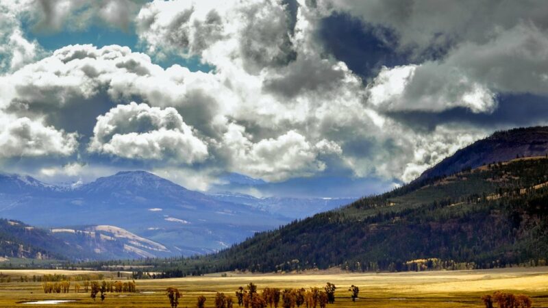 One Dead, One Injured After Shootout at Yellowstone National Park
