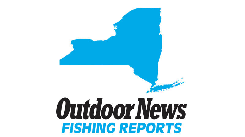 Orleans County (N.Y.) Fishing Report – July 16, 2024 – Outdoor News