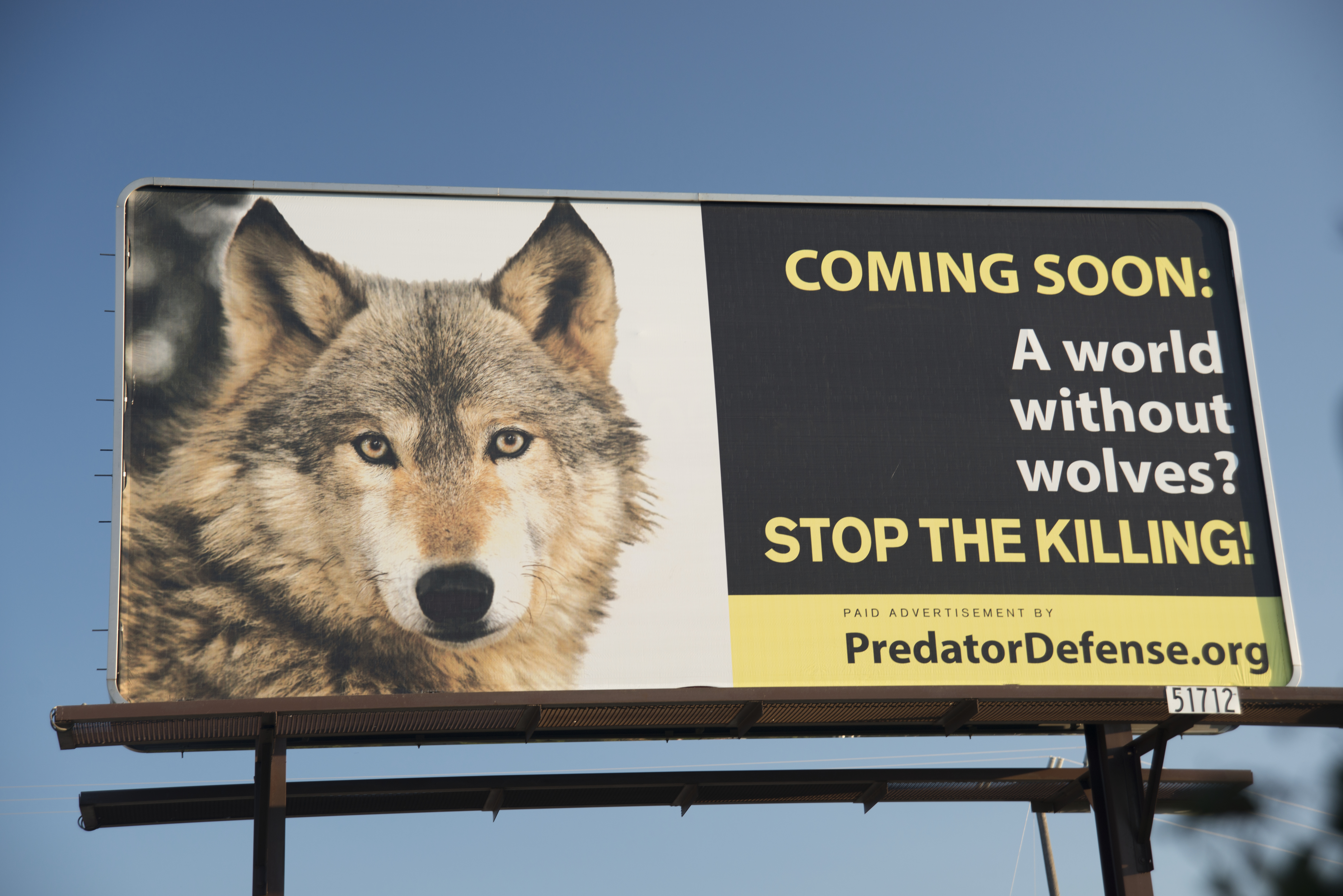 A billboard calling for an end to the wolf hunt in Montana.