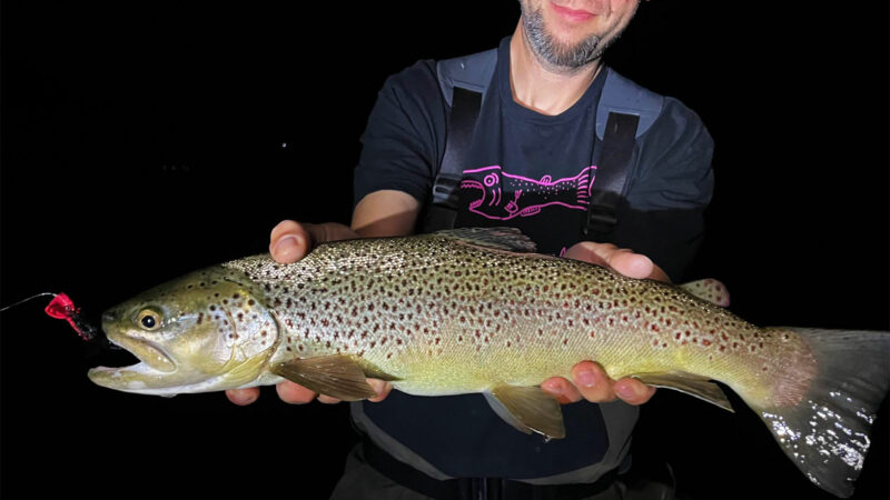 Podcast: How to Catch Giant Trout at Night