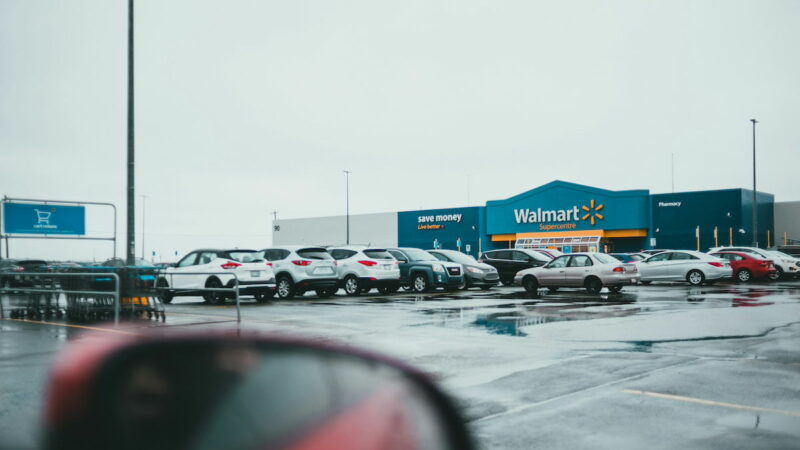 Rainbow Boa Constrictor Escapes Owner’s Car in Walmart Parking Lot