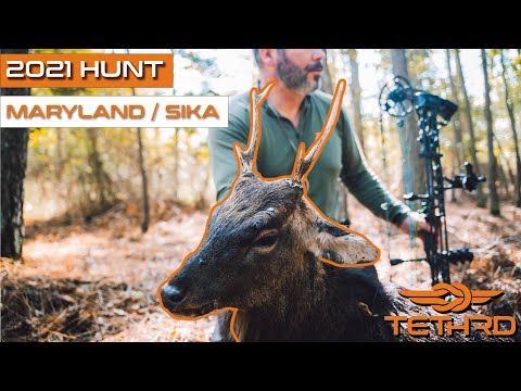 Real Talk on Saddle Hunting. Is It Time to Ditch the Treestand?