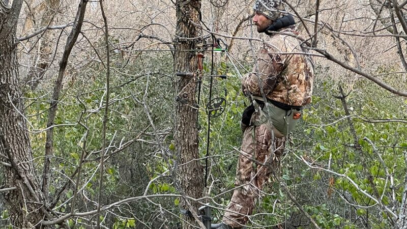 Report: U.S. hunting license sales for 2022-23 reflect slight decline – Outdoor News