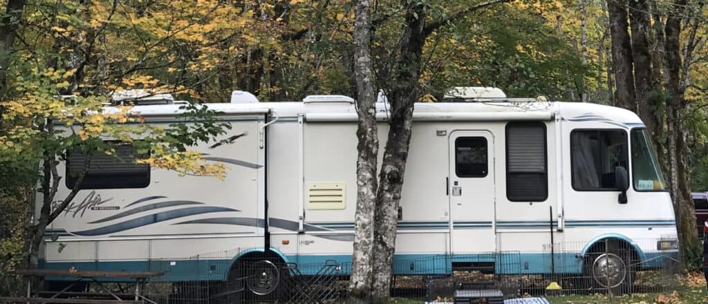 blue and while class A motorhome next to a tree