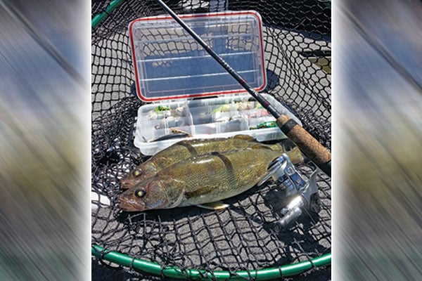 Steve Carney: Targeting deep water and where to find July fish – Outdoor News