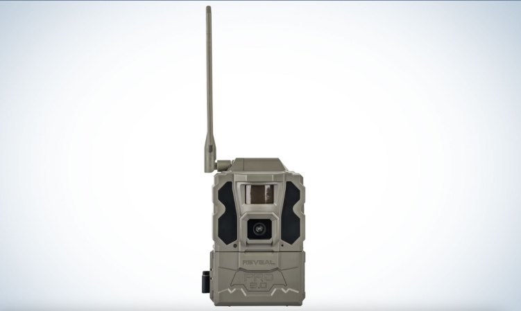 Tactacam Reveal Pro 3.0: Field Testing One of the Hottest New Trail Cameras on the Market