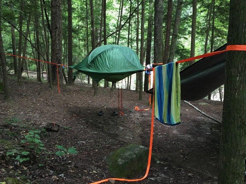 tentsile review