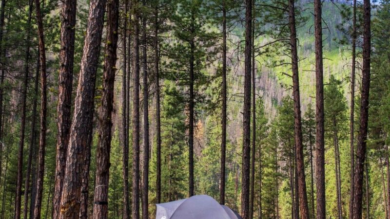 The Best of The Best—7 Superb Campgrounds Near Boise, Idaho
