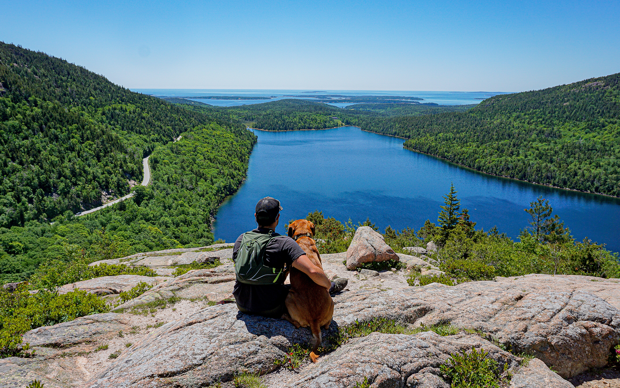 Horner and dog sit on rock overlook.