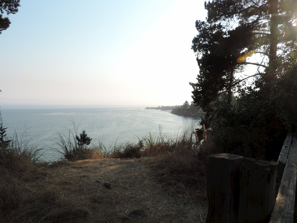 Panoramic view of ocean with trees and grassy campsite 