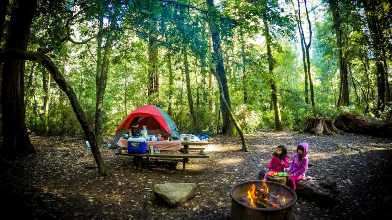 The Best Santa Cruz Camping, from the Beach to the Forests