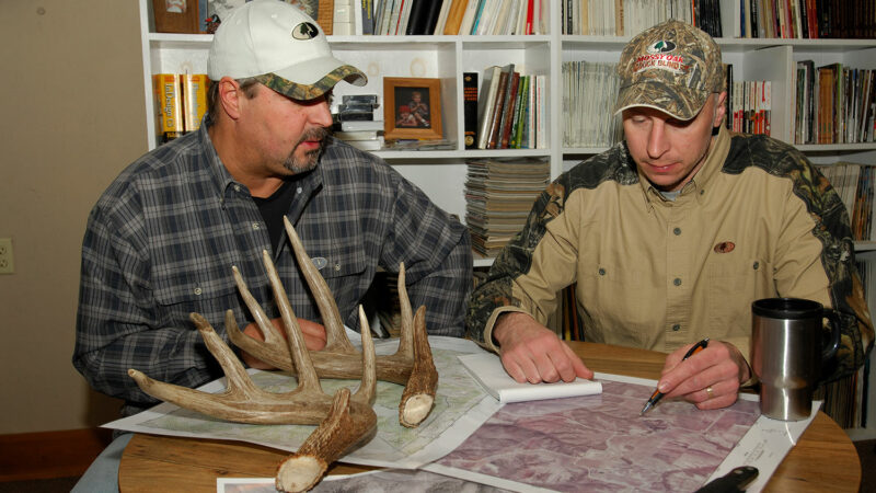 The Ultimate Plan for Scouting Deer in Summer