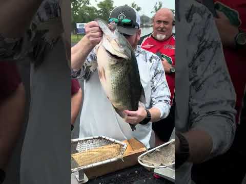 Tournament Angler Catches Record-Breaking Largemouth Bass While Practice Fishing in New York