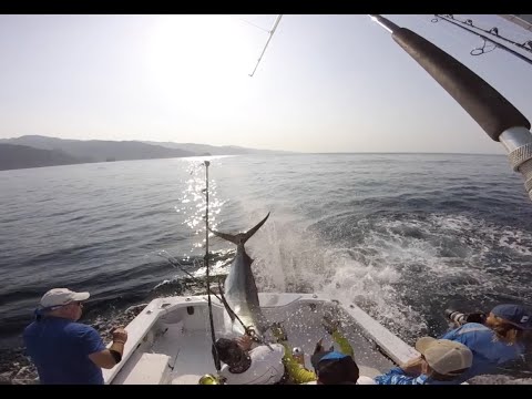 Watch: Crazed Marlin Nearly Impales Deckhand When It Leaps into the Boat