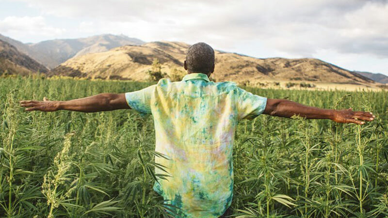 Why More Outdoor Companies Are Turning to Hemp