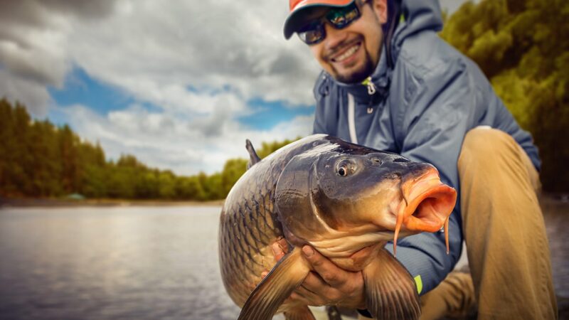 WI Daily Update: Take advantage of some fun carp-catching action – Outdoor News