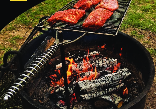 10 New Products for Grilling on the Go – RV Lifestyle Magazine