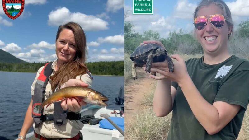 Biologists Telling Jokes Is Everything the World Needs