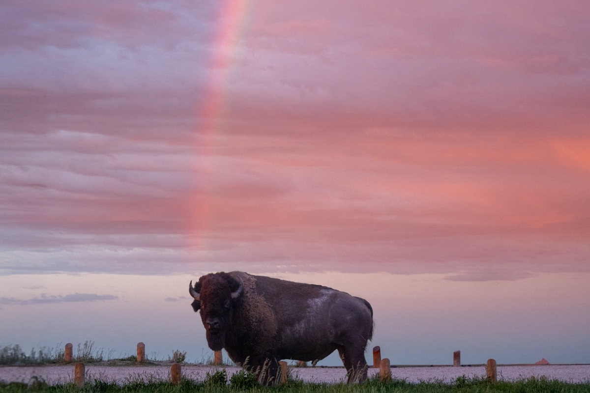 Photographer Wes Eisenhauer