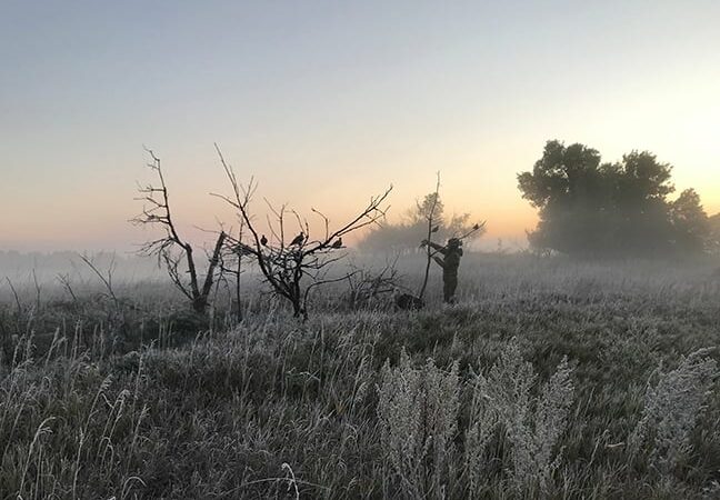 Dove hunting an underutilized opportunity for North Dakota hunters – Outdoor News