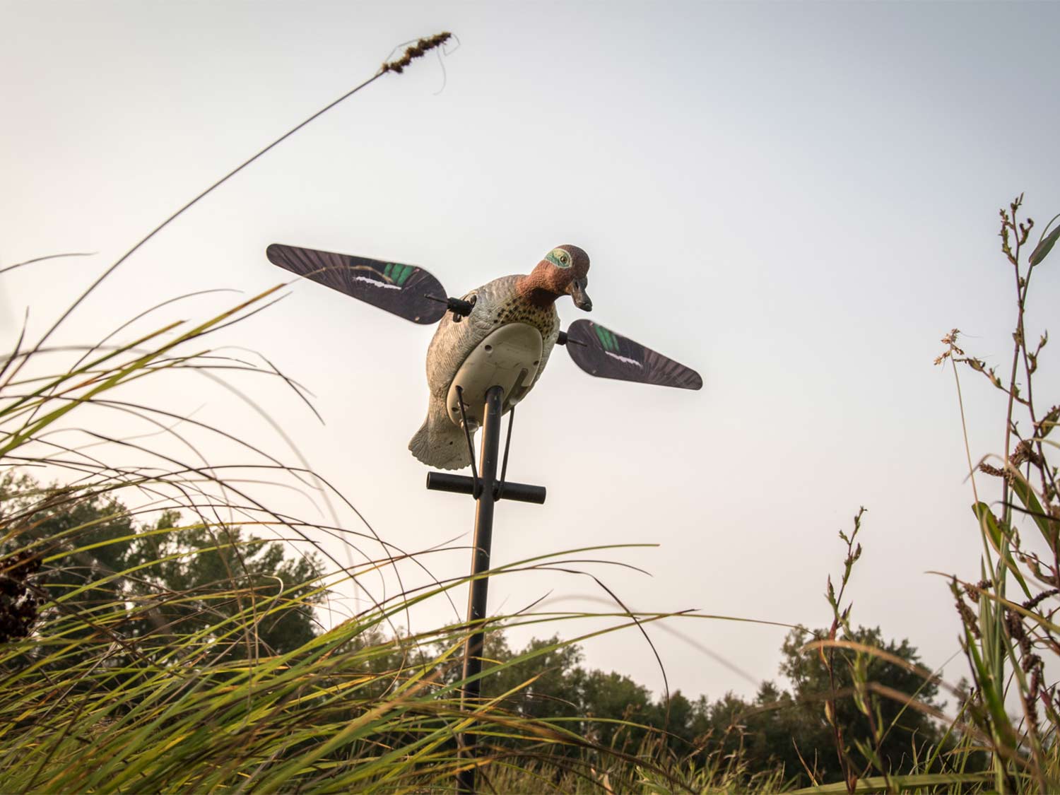 A duck decoy in an open field.