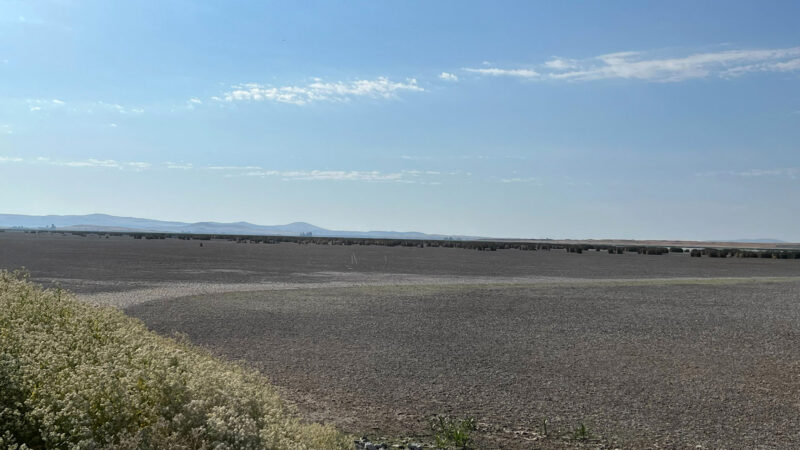 Federal Officials Confirm Botulism Outbreak at Klamath Refuges, with 20,000 Birds Dead So Far