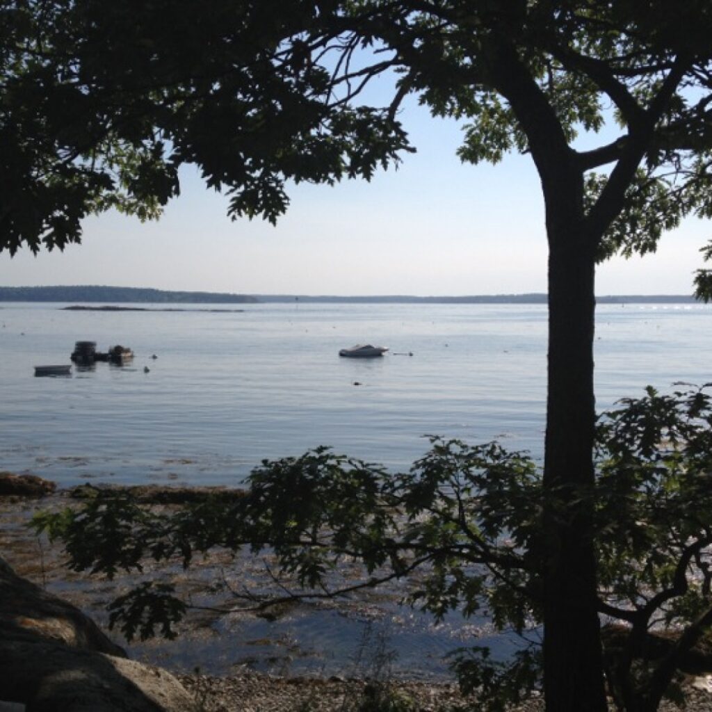 An oceanfront view at Gray Homestead.