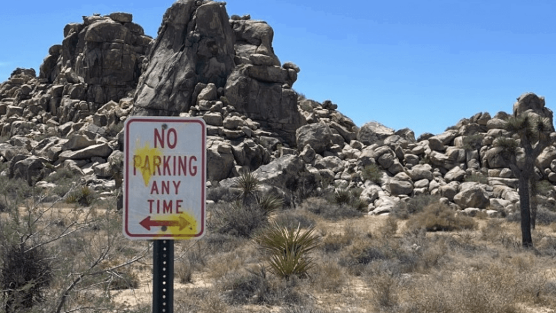 Foreign Tourists Busted for Vandalism at Joshua Tree National Park