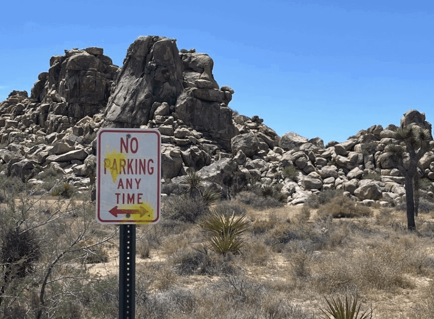 vandalism in joshua tree