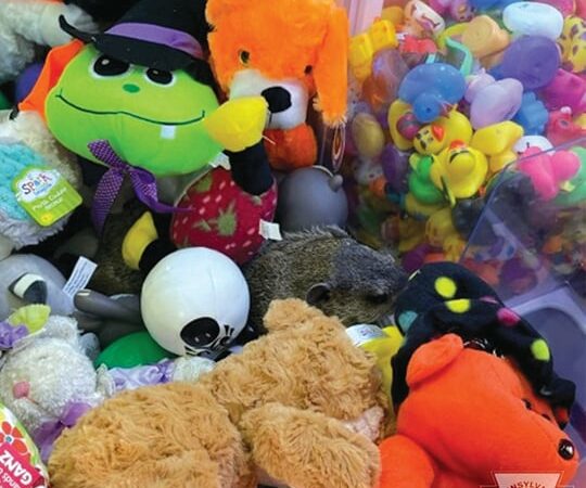 Groundhog gets in claw machine game in Blair County, Pa. – Outdoor News